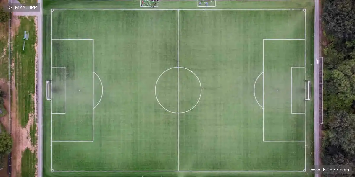 🎮 虚拟赛场，与全球高手同场竞技！🎯